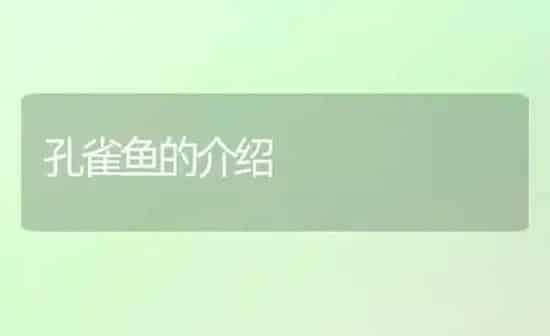 金鱼饲料的调配原则 | 宠物饲料知识