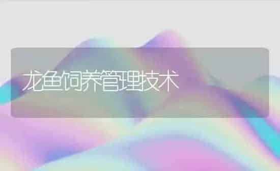 龙鱼饲养管理技术 | 鱼类宠物