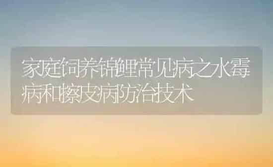 家庭饲养锦鲤常见病之水霉病和擦皮病防治技术 | 宠物病虫害防治