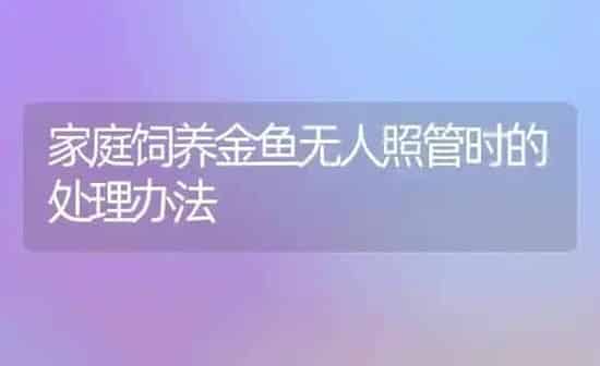 家庭饲养金鱼无人照管时的处理办法 | 鱼类宠物