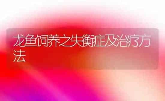 龙鱼饲养之失衡症及治疗方法 | 鱼类宠物