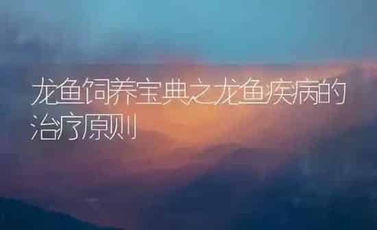 龙鱼饲养宝典之龙鱼疾病的治疗原则 | 宠物病虫害防治