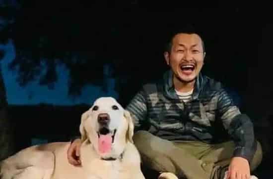 14岁爱犬患癌痛苦不已 主人将30公斤狗狗抱回家