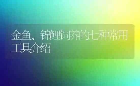 金鱼、锦鲤饲养的七种常用工具介绍 | 鱼类宠物