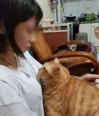 不哭不哭 眼泪是珍珠！生病橘猫看到药袋泛泪