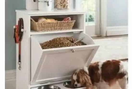 法国斗牛犬|来了解一下法国斗牛犬四大类饲料