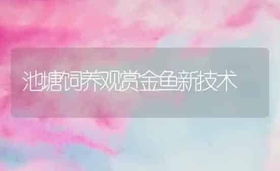 池塘饲养观赏金鱼新技术 | 鱼类宠物