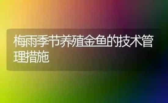 梅雨季节养殖金鱼的技术管理措施 | 鱼类宠物