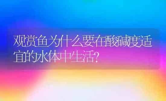 观赏鱼为什么要在酸碱度适宜的水体中生活？ | 鱼类宠物