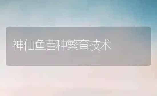 神仙鱼苗种繁育技术 | 鱼类宠物