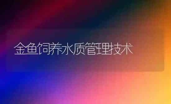 金鱼饲养水质管理技术 | 鱼类宠物