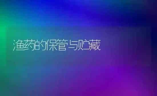 金鱼繁殖之亲鱼的选择技术 | 鱼类宠物