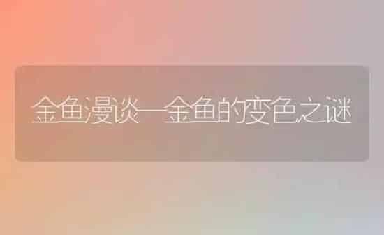 金鱼漫谈—金鱼的变色之谜 | 鱼类宠物