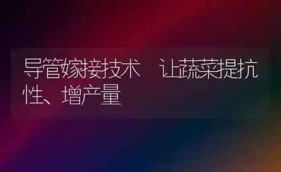 导管嫁接技术 让蔬菜提抗性、增产量 | 蔬菜种植