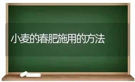 小麦的春肥施用的方法 | 粮油作物种植