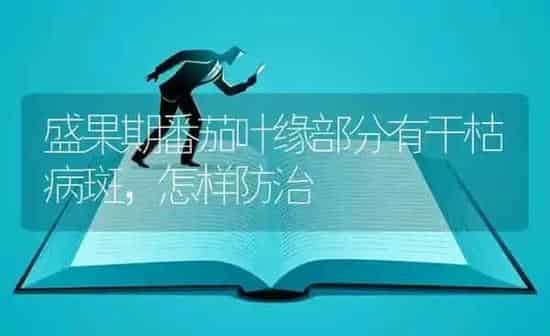 盛果期番茄叶缘部分有干枯病斑，怎样防治 | 瓜果种植