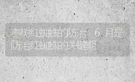 枣树红蜘蛛的防治 6月是防治红蜘蛛的关键期 | 瓜果种植