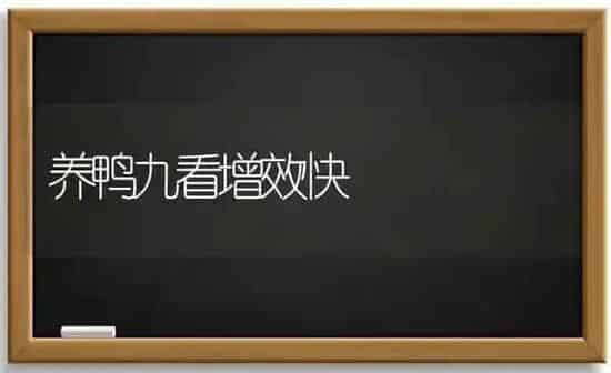 养鸭九看增效快 | 瓜果种植