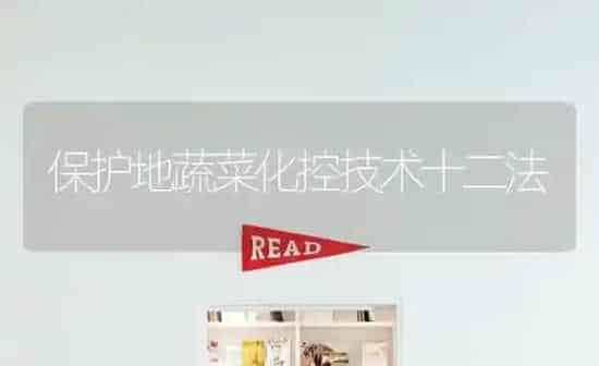 保护地蔬菜化控技术十二法 | 蔬菜种植