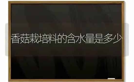 香菇栽培料的含水量是多少 | 食用菌种植