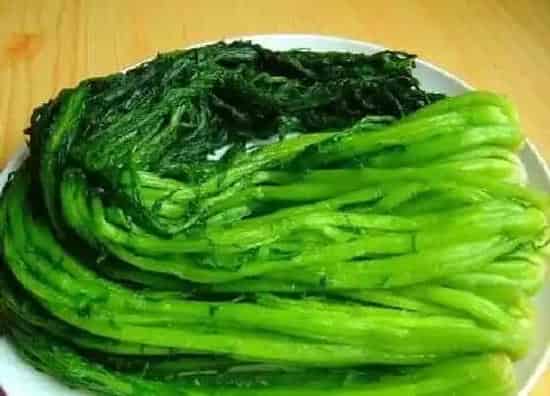 植物产地|雪里红产地在哪里