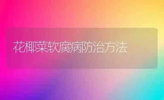 花椰菜软腐病防治方法 | 蔬菜种植