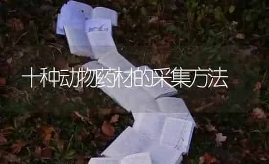十种动物药材的采集方法 | 药材种植