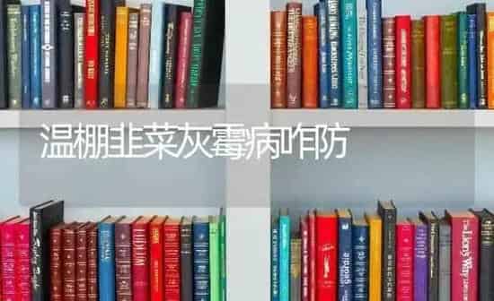 温棚韭菜灰霉病咋防 | 蔬菜种植