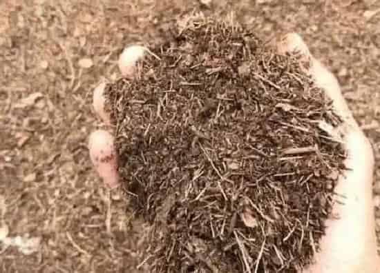 种植土壤|养花用的土怎么消毒杀菌（花卉盆栽培养土的消毒方法）