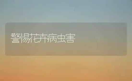 警惕花卉病虫害 | 种植病虫害防治
