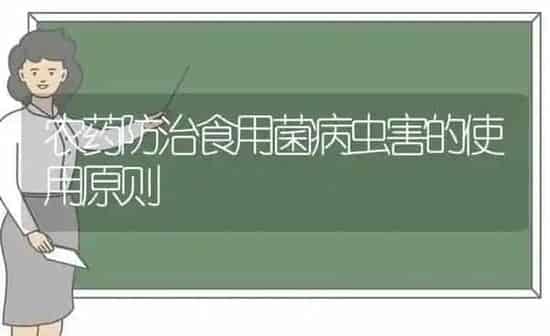 农药防治食用菌病虫害的使用原则 | 种植病虫害防治