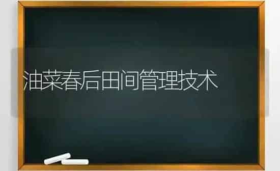 油菜春后田间管理技术 | 粮油作物种植