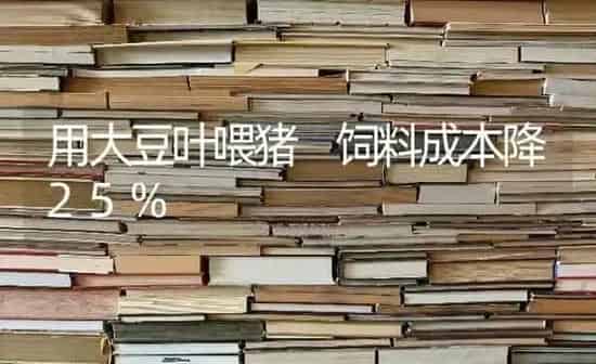 花生中后期防病虫害 | 种植病虫害防治