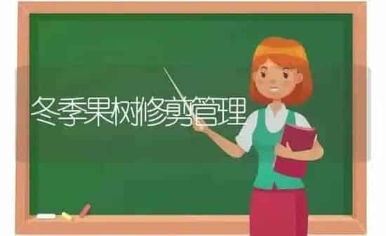 冬季果树修剪管理 | 瓜果种植