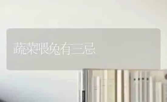 蔬菜喂兔有三忌 | 蔬菜种植