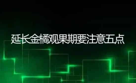 延长金橘观果期要注意五点 | 瓜果种植