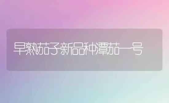 早熟茄子新品种潭茄一号 | 蔬菜种植