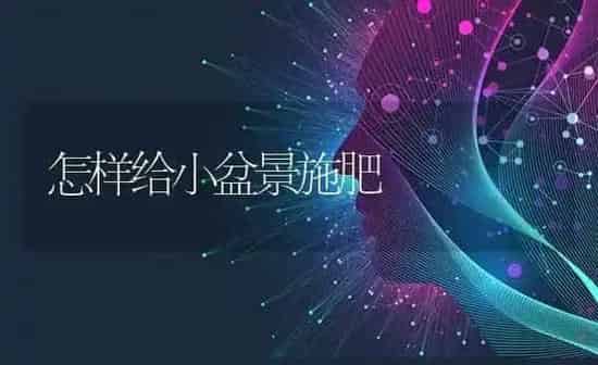 怎样给小盆景施肥 | 种植肥料施肥