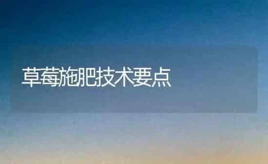 草莓施肥技术要点 | 种植肥料施肥