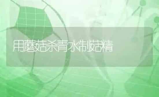 用蘑菇杀青水制菇精 | 食用菌种植