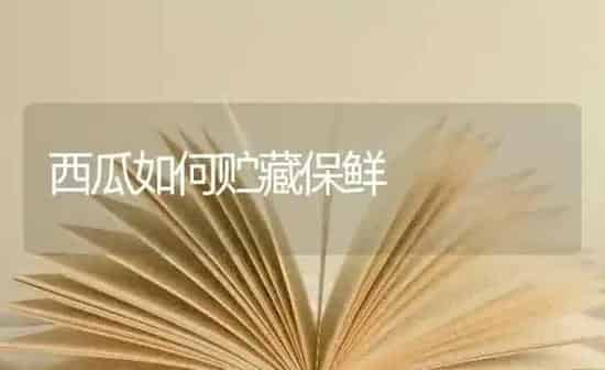 西瓜如何贮藏保鲜 | 瓜果种植