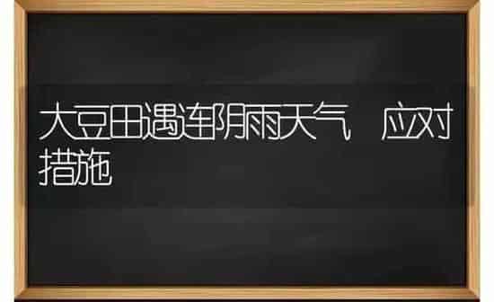 大豆田遇连阴雨天气 应对措施 | 粮油作物种植