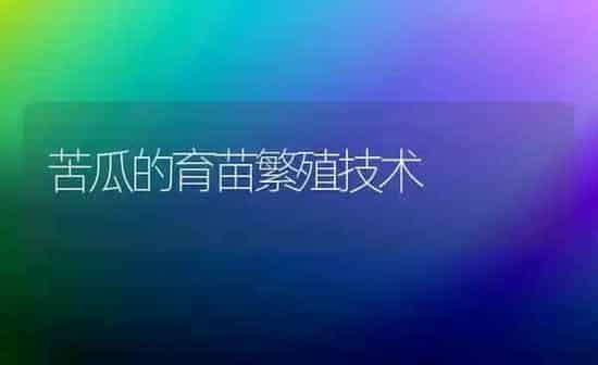 苦瓜的育苗繁殖技术 | 蔬菜种植
