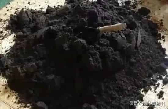 种植土壤|养花用的土怎么消毒杀菌（花卉盆栽培养土的消毒方法）