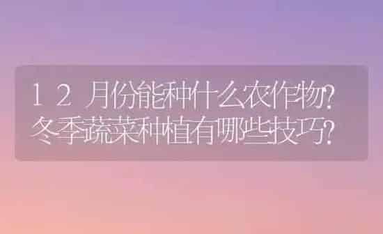12月份能种什么农作物？冬季蔬菜种植有哪些技巧？ | 蔬菜种植