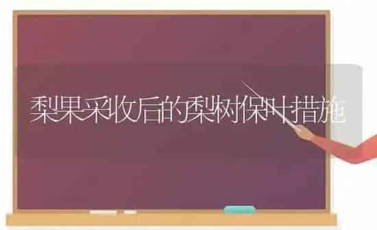 梨果采收后的梨树保叶措施 | 瓜果种植
