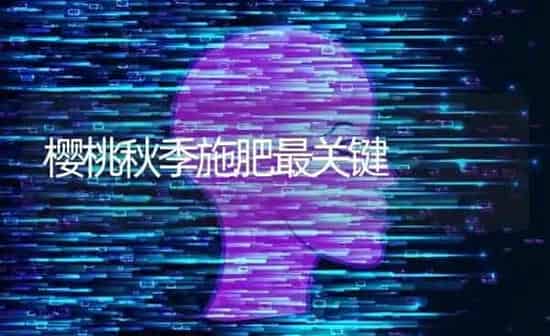 樱桃秋季施肥最关键 | 种植肥料施肥