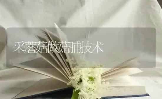 采蘑菇做菇脯技术 | 食用菌种植
