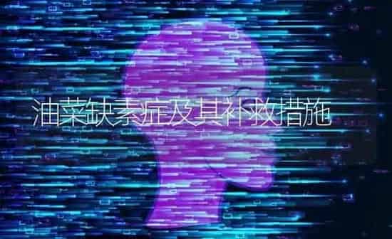 油菜缺素症及其补救措施 | 粮油作物种植