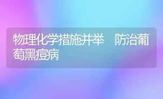 物理化学措施并举 防治葡萄黑痘病 | 瓜果种植
